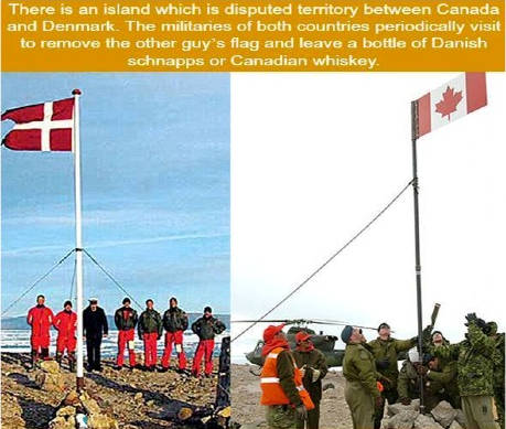 O29-flags (41K)